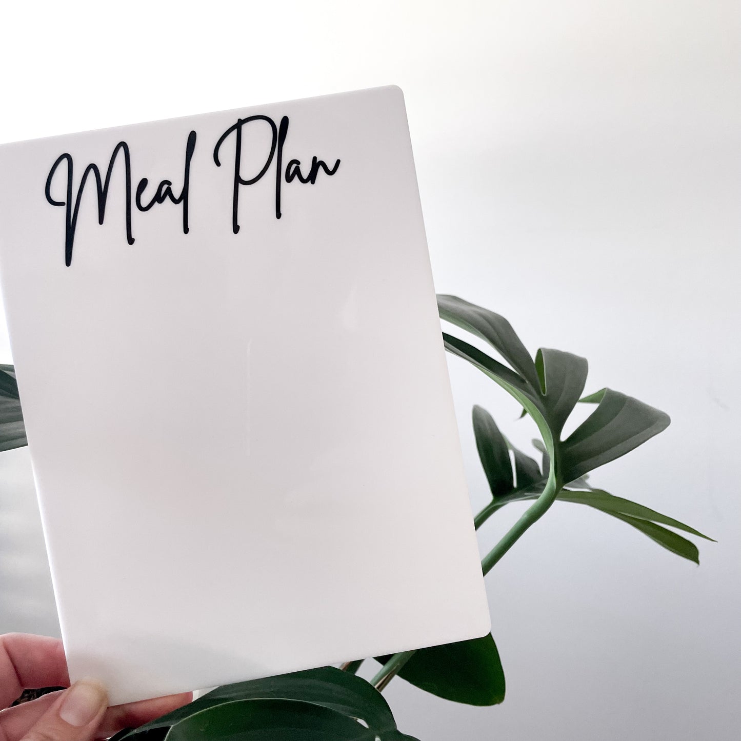 MEAL PLAN